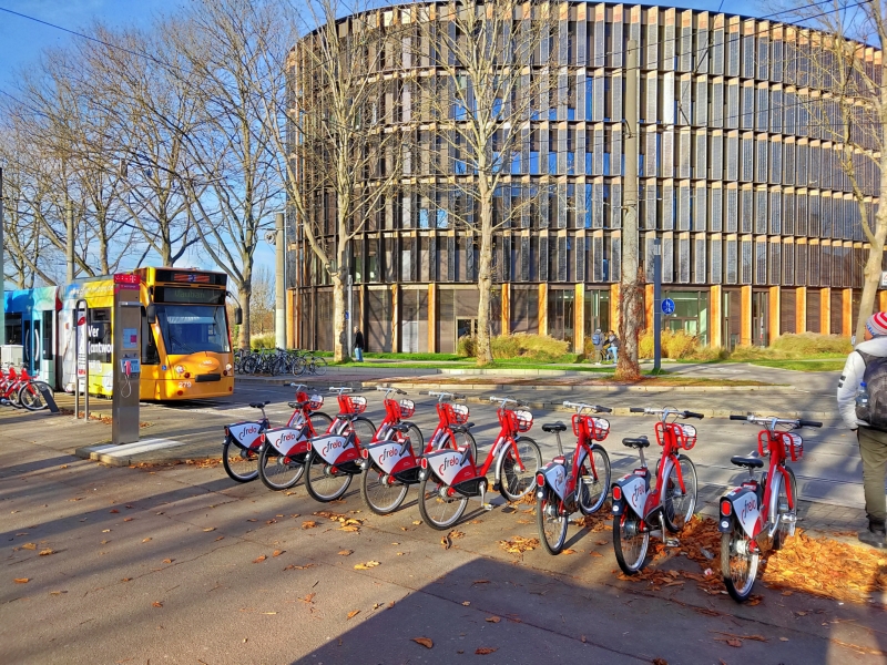 Freiburg's city hall Freiburg's city hall